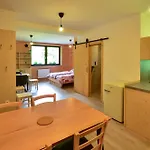 Apartmaji Nad Potokom Appartement Zelezniki