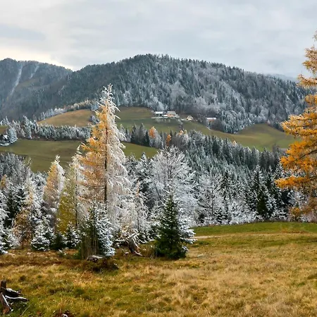 Daire Apartmaji Nad Potokom Zelezniki