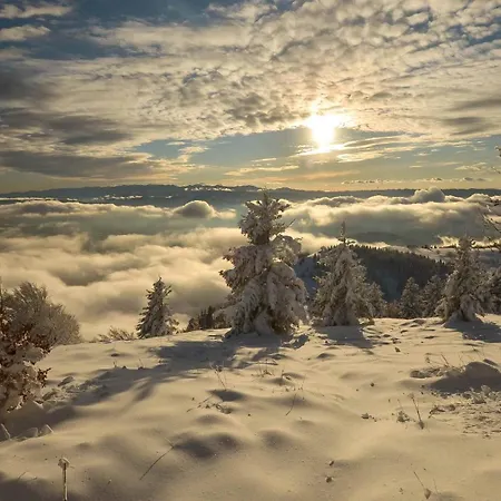 Daire Apartmaji Nad Potokom