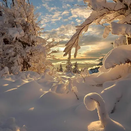 Apartmaji Nad Potokom Апартаменты