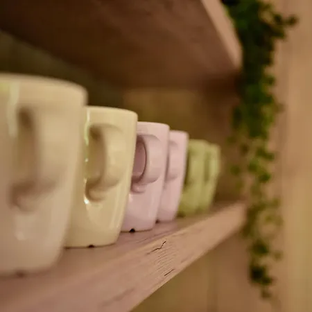 Daire Apartmaji Nad Potokom