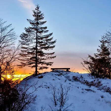 Apartmaji Nad Potokom * Zelezniki