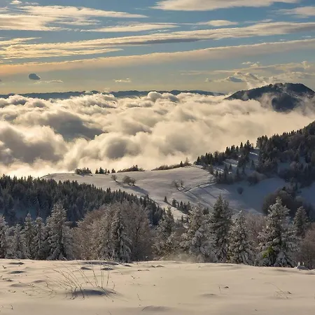 Apartmaji Nad Potokom