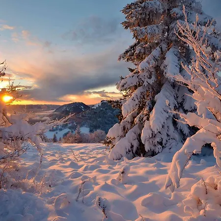 Apartmaji Nad Potokom * Zelezniki