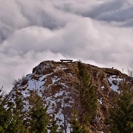 Daire Apartmaji Nad Potokom Zelezniki