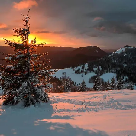 Apartmaji Nad Potokom Daire