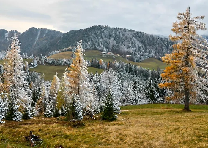 Apartment Apartmaji Nad Potokom Zelezniki