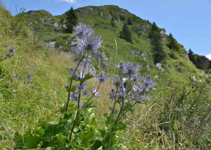 Apartment Apartmaji Nad Potokom Zelezniki