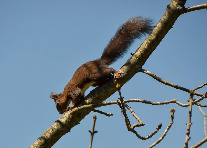 아파트 Apartmaji Nad Potokom 젤레즈니키