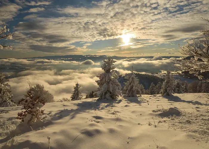 Apartment Apartmaji Nad Potokom