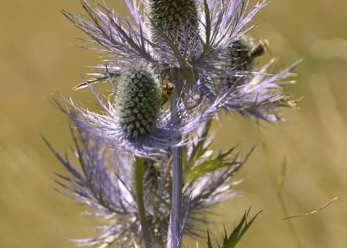 Apartment Apartmaji Nad Potokom