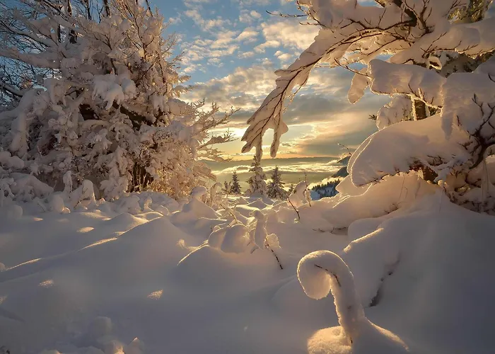 Apartmaji Nad Potokom Апартаменты