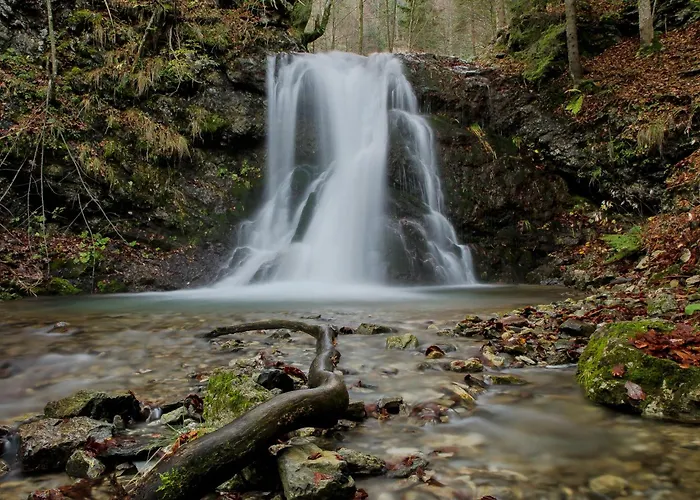 Apartmaji Nad Potokom 젤레즈니키