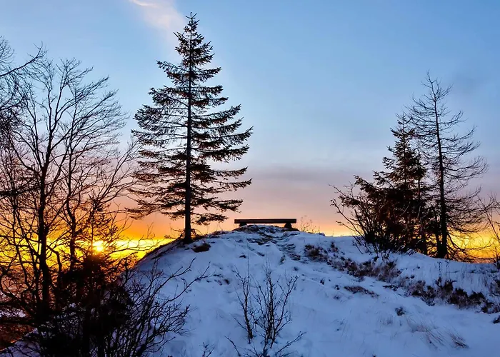 Apartmaji Nad Potokom * Железники