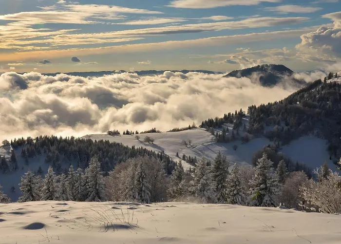 Apartmaji Nad Potokom