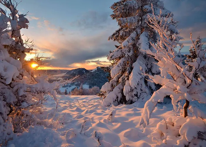 Apartmaji Nad Potokom * Железники