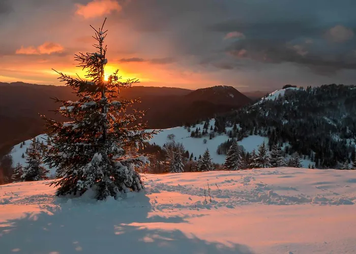 Apartmaji Nad Potokom 아파트