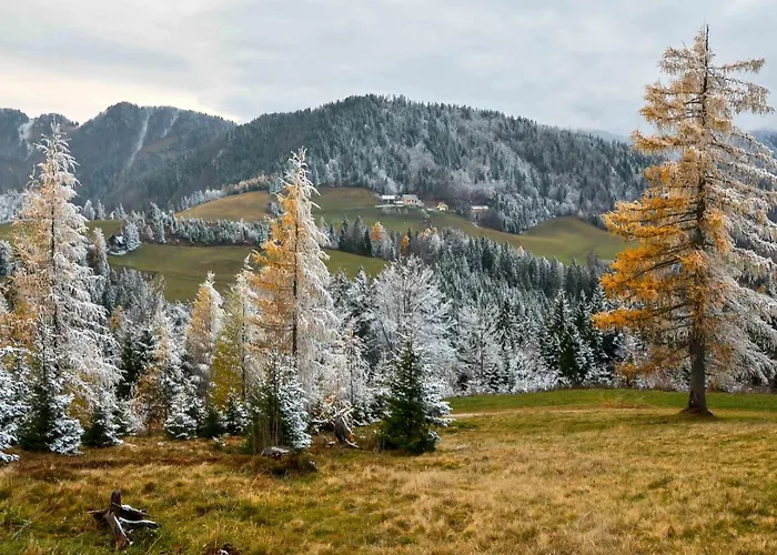 아파트 Apartmaji Nad Potokom